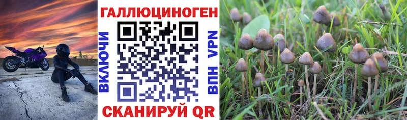 Галлюциногенные грибы MAGIC MUSHROOMS  закладка  Уфа 