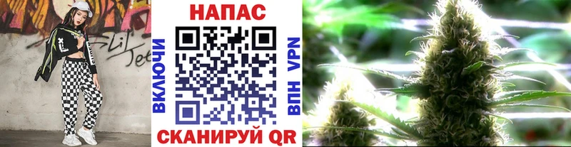 Бошки марихуана марихуана  где найти   Уфа 